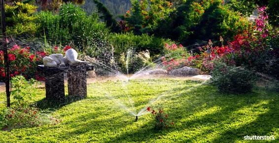 Les jardin de Sophie, sous son entretien quotidien. Pelouse intact grâce à son arrosage automatique